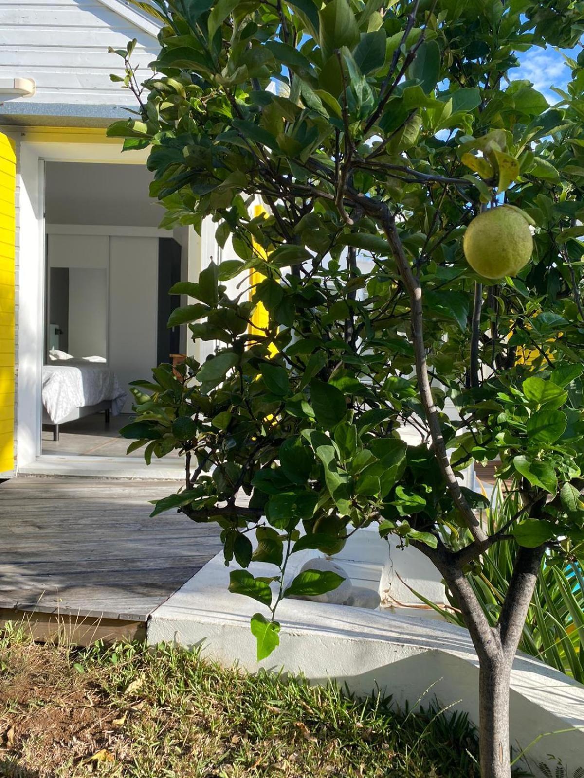 Villa Ylang サンジルレバン エクステリア 写真